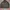 The North Face Casual Track jacket Pria black photo 1