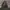 The North Face Gorpcore Track jacket Pria black photo 4