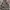 Gorpcore Track jacket Pria gray photo 1