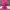 Gorpcore Track jacket Pria pink photo 4