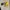 Futurist Audio cassette yellow photo 3