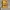 Futurist Audio cassette yellow photo 1