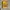 Futurist Audio Cassette Yellow