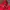K-Swiss Gorpcore Track jacket Pria red photo 2