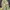 Gorpcore Track jacket Pria yellow photo 4