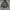Carhartt Vintage Streetwear Hoody Pria black photo 1