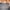 Gucci Luxury Casual Handbag Wanita black gray photo 1