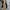 Burberry Luxury Casual Casual trouser Wanita tan brown photo 1