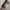 Coach Streetwear Casual Crossbody Bag Wanita multicolor white photo 5