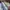 Streetwear Sportswear T-shirt Pria multicolor photo 7