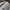 Streetwear Sportswear T-shirt Pria multicolor photo 6