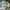 Streetwear Sportswear T-shirt Pria multicolor photo 5