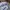 Streetwear Sportswear T-shirt Pria multicolor photo 8