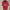Sportswear Jersey Pria Red