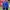 Sportswear Jersey Pria blue photo 1
