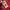 Sportswear Jersey Pria red photo 5