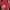 Sportswear Jersey Pria red photo 6
