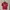 Sportswear Jersey Pria Red