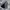 Diet Butcher Vintage Streetwear Parka Pria gray photo 3