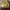 Converse Vintage Minimalist Bag Pria yellow photo 1