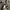Gorpcore Windbreaker Pria gray photo 5