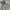 Gorpcore Windbreaker Pria gray photo 2