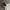 Arc'teryx Gorpcore Windbreaker Pria white photo 2