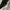 Arc'teryx Gorpcore Windbreaker Pria white photo 8