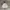 Arc'teryx Gorpcore Windbreaker Pria white photo 1