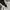 Arc'teryx Gorpcore Windbreaker Pria white photo 5