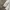 Arc'teryx Gorpcore Windbreaker Pria white photo 4