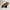 VANS Streetwear Sneakers Pria black photo 7