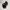VANS Streetwear Sneakers Pria black photo 6