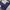 Dunlop Vintage Biker Windbreaker Pria white navy photo 4