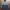 Penfield Streetwear Sportswear Parka Pria multicolor photo 1