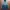 Penfield Streetwear Sportswear Parka Pria Multicolor