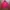 Polo Ralph Lauren Streetwear Casual Bomber Jacket Pria Blue Red