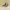 VANS Streetwear Casual Sneakers Pria Multicolor