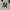 MLB Streetwear Casual Shoulder bag Wanita cream black photo 3