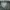 Under Armour Casual Polo shirt Pria gray photo 2