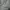Under Armour Casual Polo shirt Pria gray photo 5