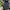 Vintage Streetwear Jeans Pria Multicolor