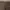 Giordano Minimalist Formal pants Pria green khaki photo 4