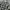 Wrangler Vintage Y2K Harrington jacket Pria white gray photo 3