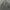 Wrangler Vintage Y2K Harrington jacket Pria white gray photo 1