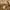 SLY Y2K Avant Garde Puffer jacket Wanita brown photo 3