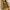 SLY Y2K Avant Garde Puffer jacket Wanita brown photo 5