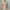 Calvin Klein Y2K Lolita T-shirt Wanita multicolor photo 1
