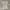 Tommy Hilfiger Y2K Luxury T-shirt Wanita multicolor gray photo 5