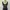 Badboy Y2K Grunge Crop top Wanita white black photo 3
